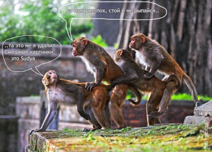 Размещенное изображение